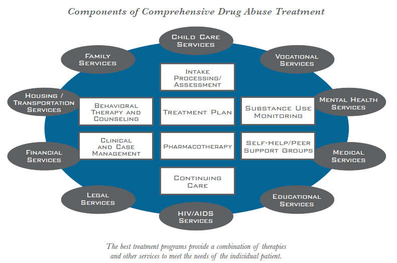 components of comprehensive drug abuse programmes