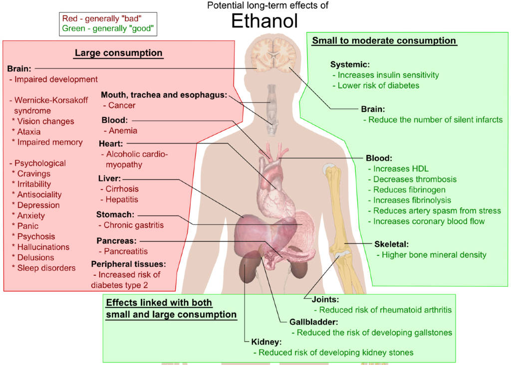 long term effects of ethanol