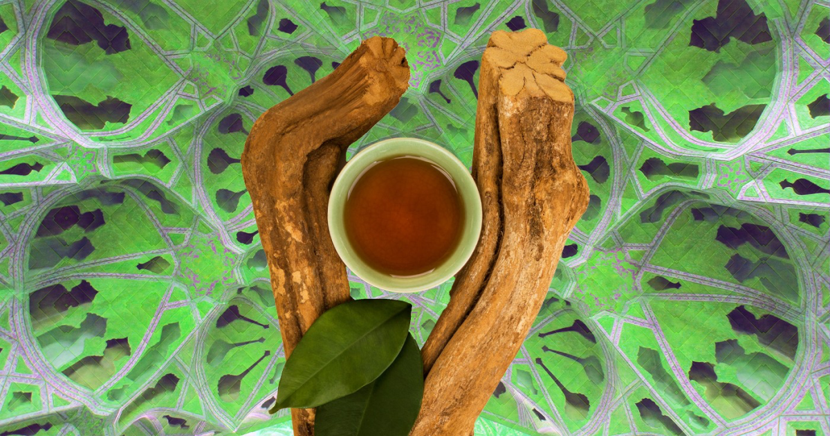 Ayahuasca – The cure for addiction?