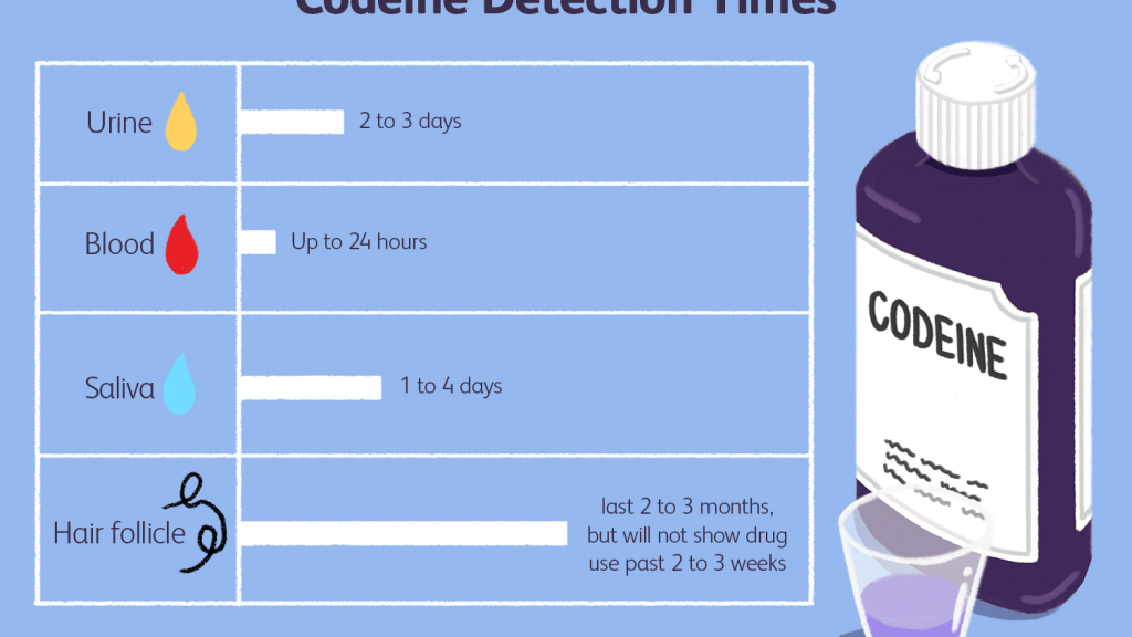 how long does codeine stay in your system