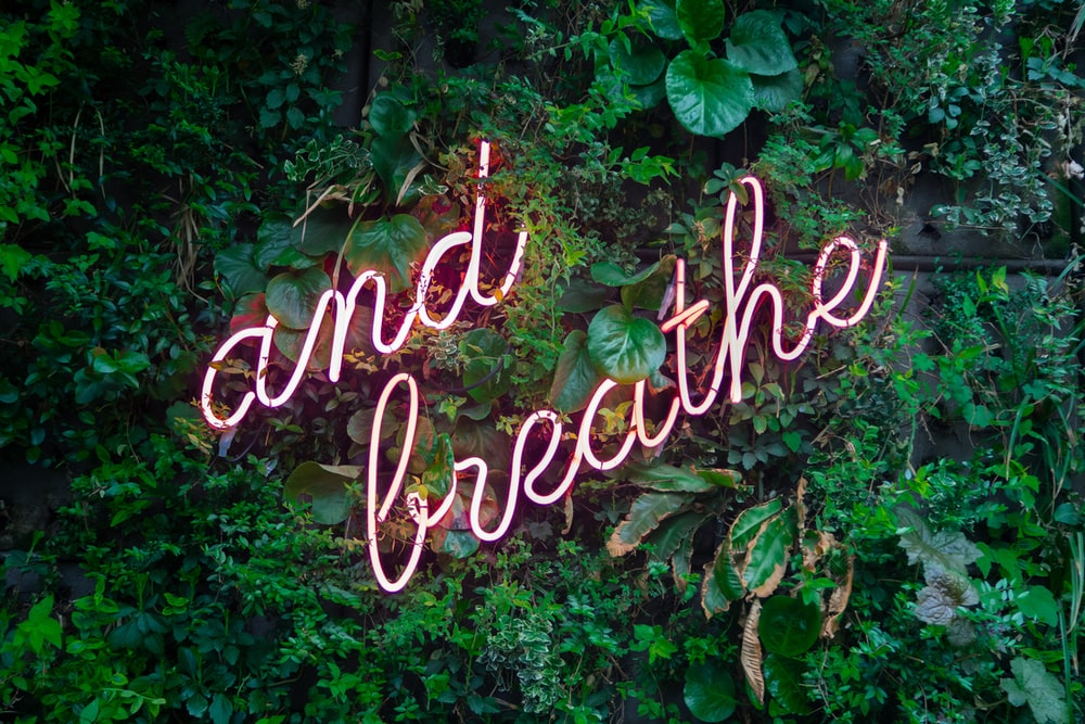 Neon and breath in front of leaves