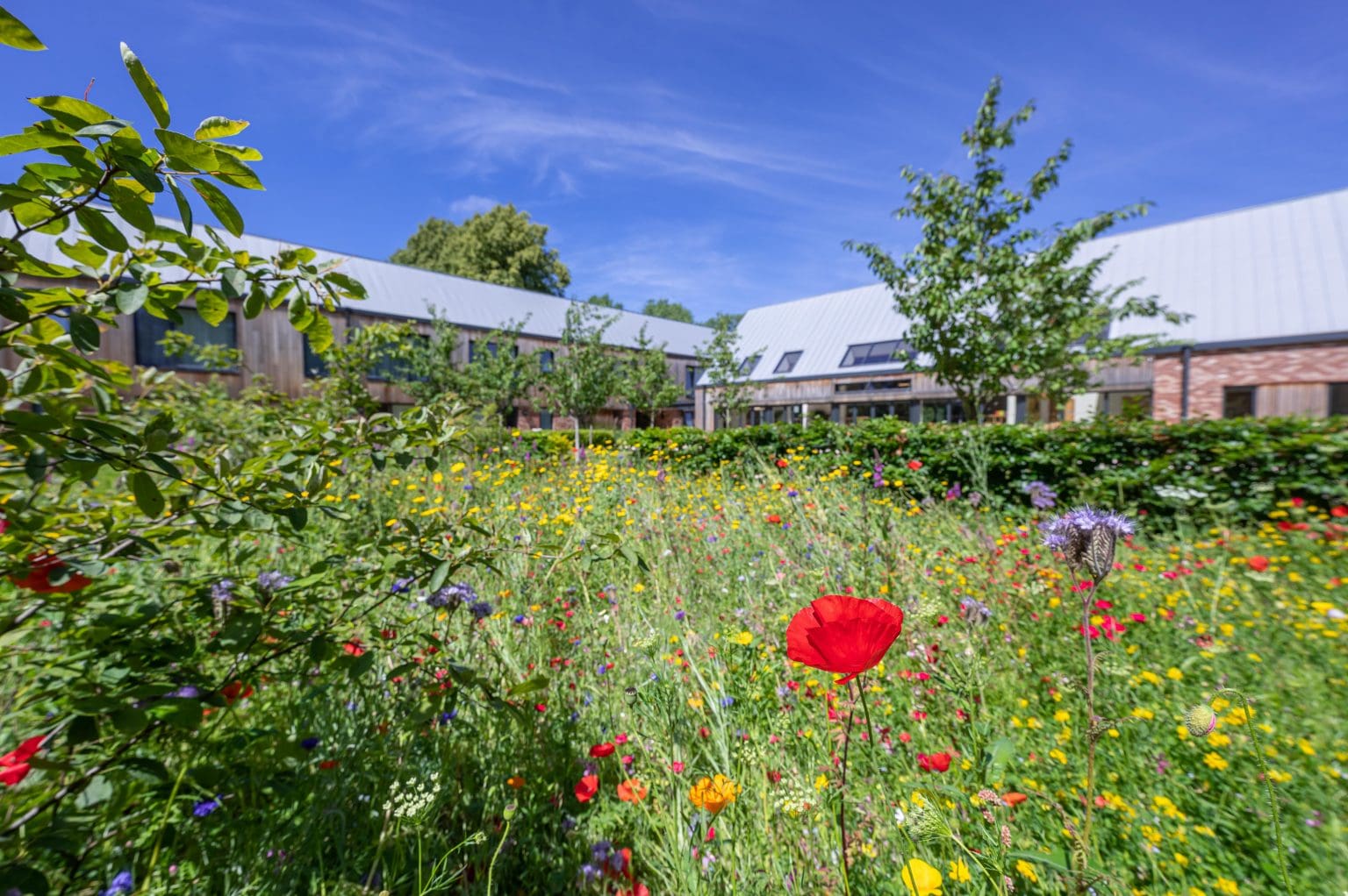 Why choose menopause private treatment? Delamere