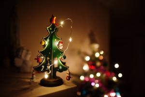 What to expect from Christmas at rehab?